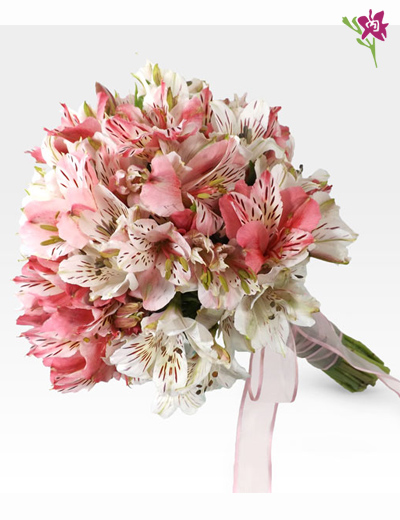 Bouquet de Astromelias - Delizabeth Florería | Somos la Mejor Floreria en  Los Olivos - Regalos en Los Olivos - Regalos en Lima Norte - Delizabeth  Floreria - Floreria en Los Olivos -